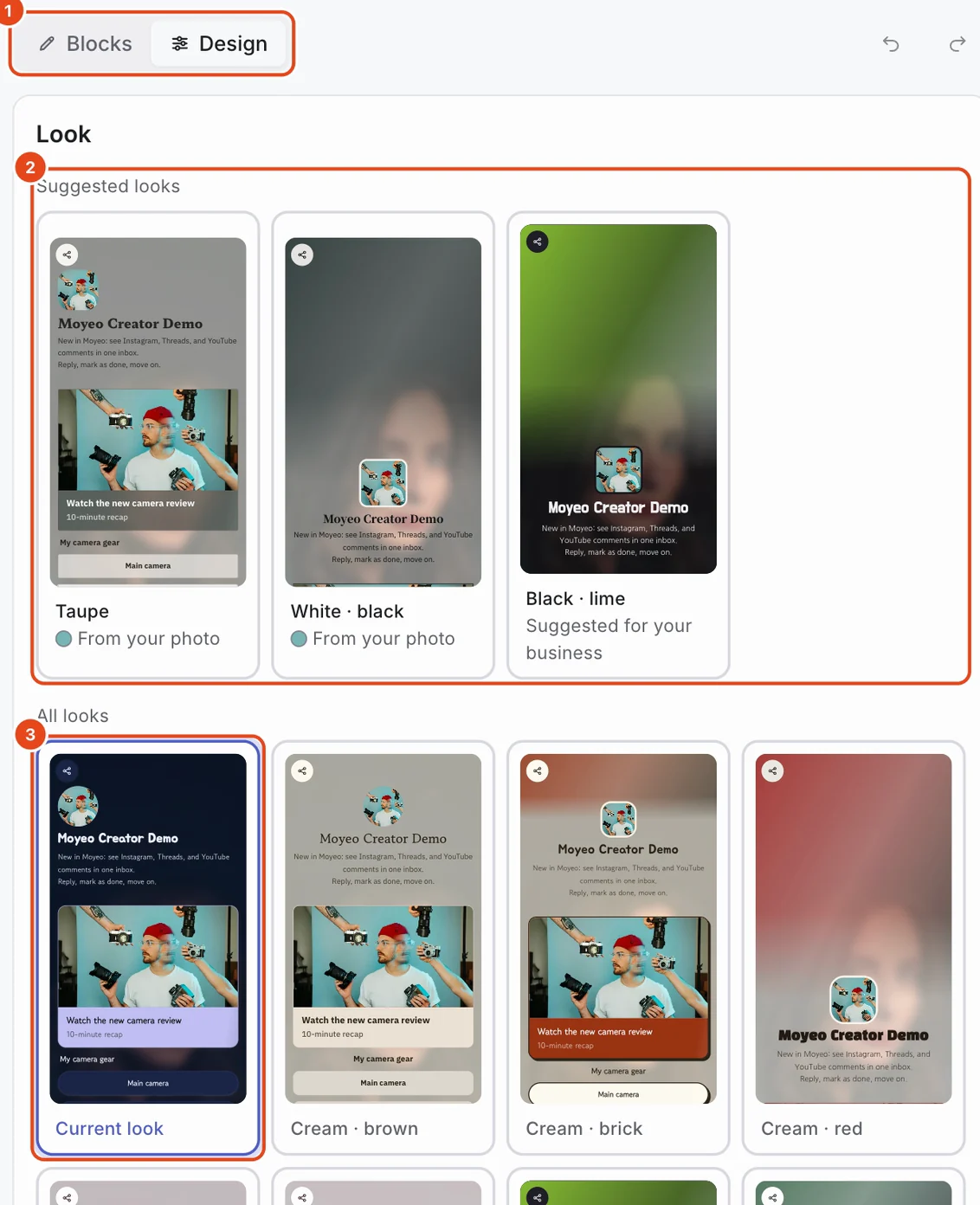 The Design panel. The Blocks and Design switch (1), Suggested looks (2) and All looks with the Current look marked (3) are highlighted.
